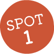 Spot1