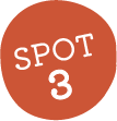 Spot3